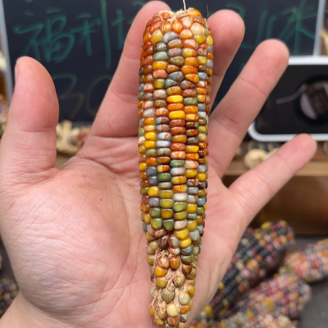 柏香籽/百香籽吊坠西*