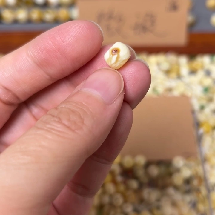 蜜蜡未镶嵌裸石8.5mm一个