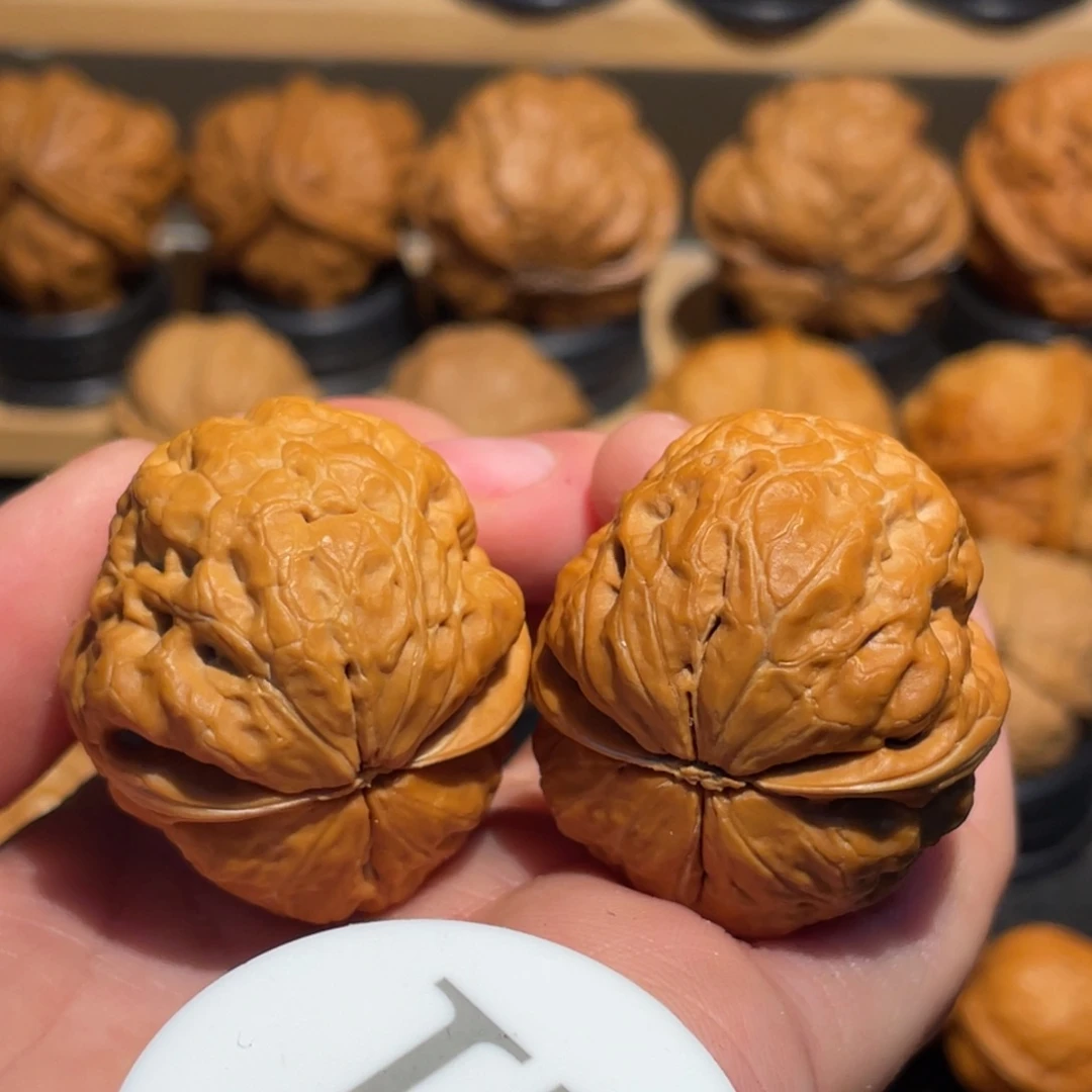 玉兔金蟾核桃34。