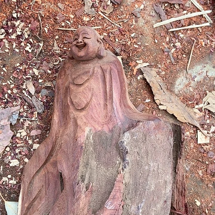 染料紫檀（血檀）895