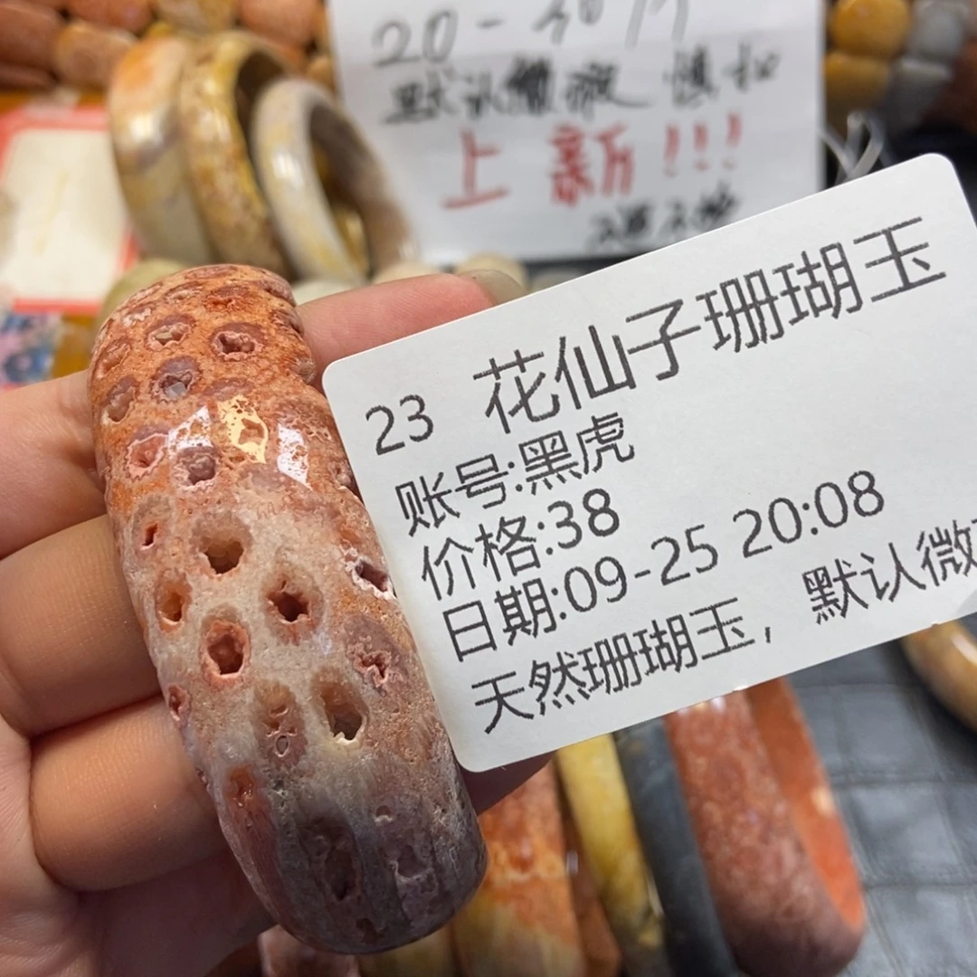 黑***虎硅化珊瑚（珊瑚玉）未镶嵌珠宝半成品23