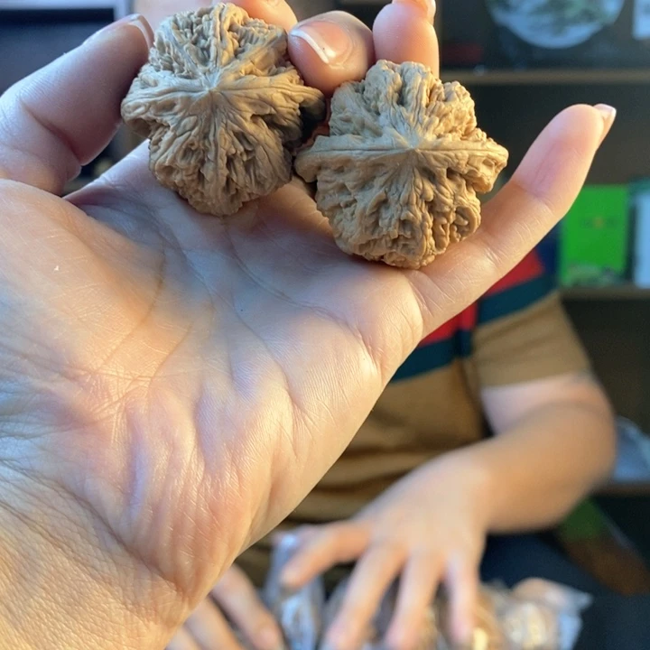 文玩核桃把件经*粗筋