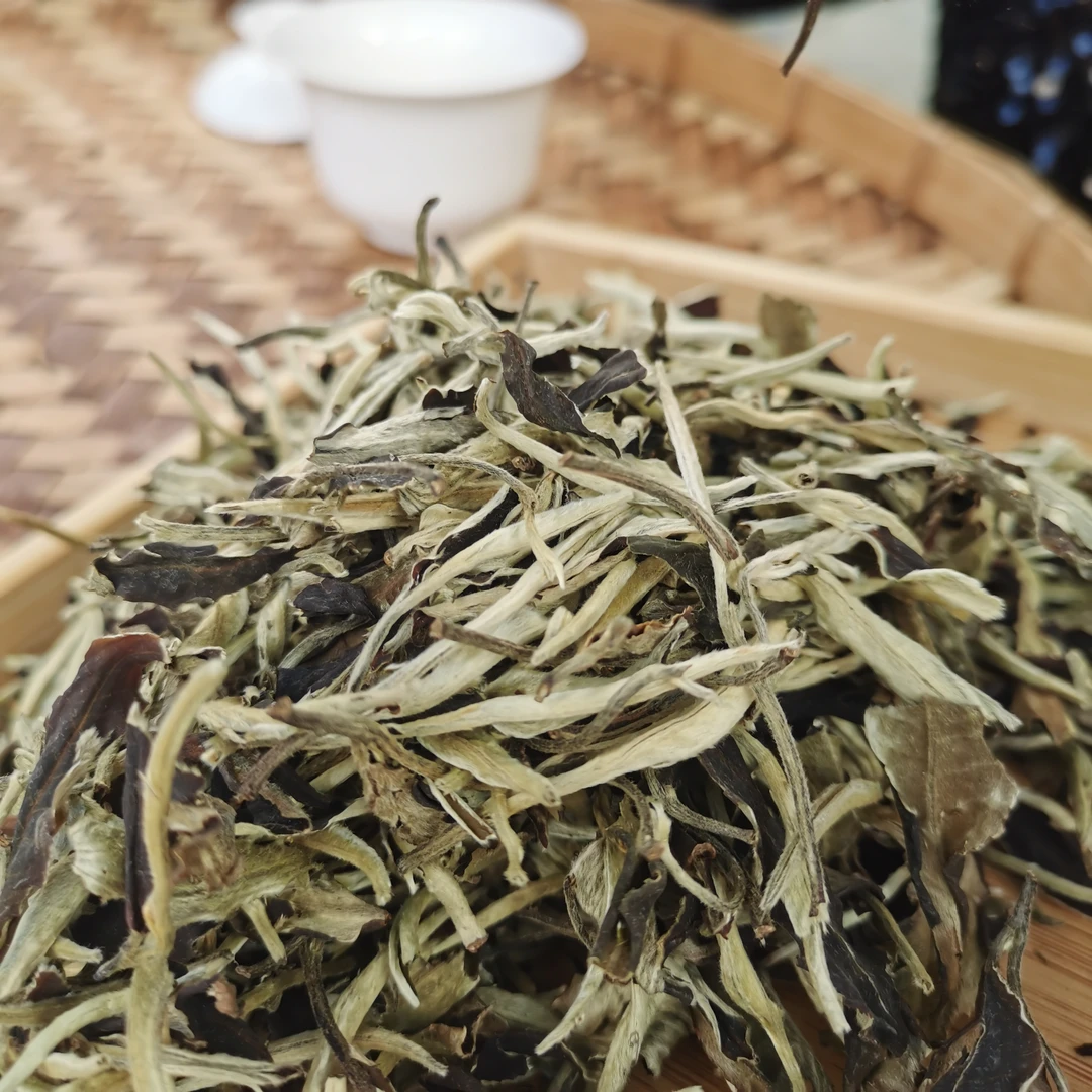 2022年高黎贡山月光白白茶散茶（200g）1月9【13号】