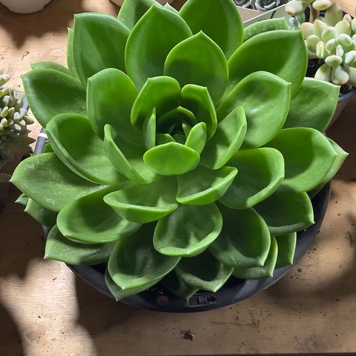 东***乐0000000000000000376