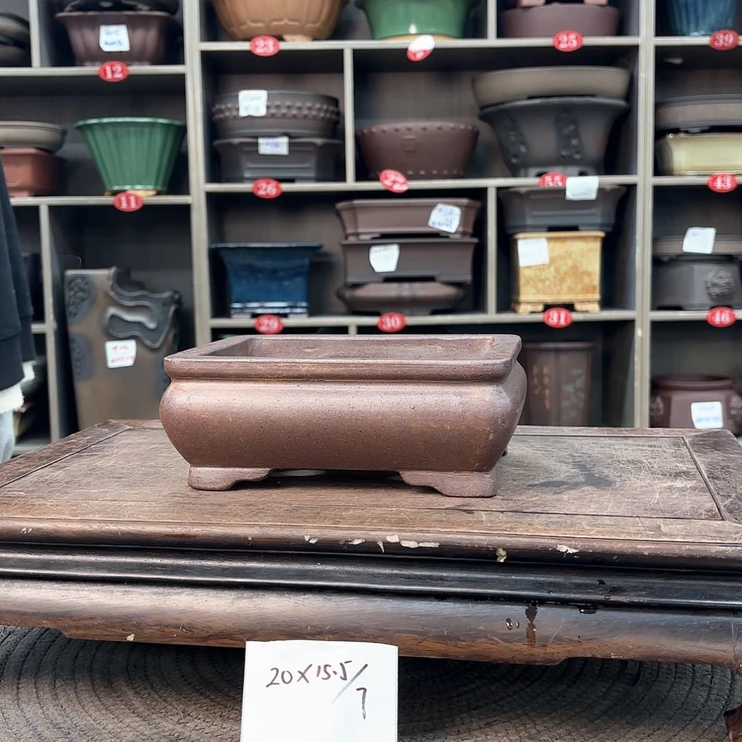 紫砂花盆紫砂的花也太