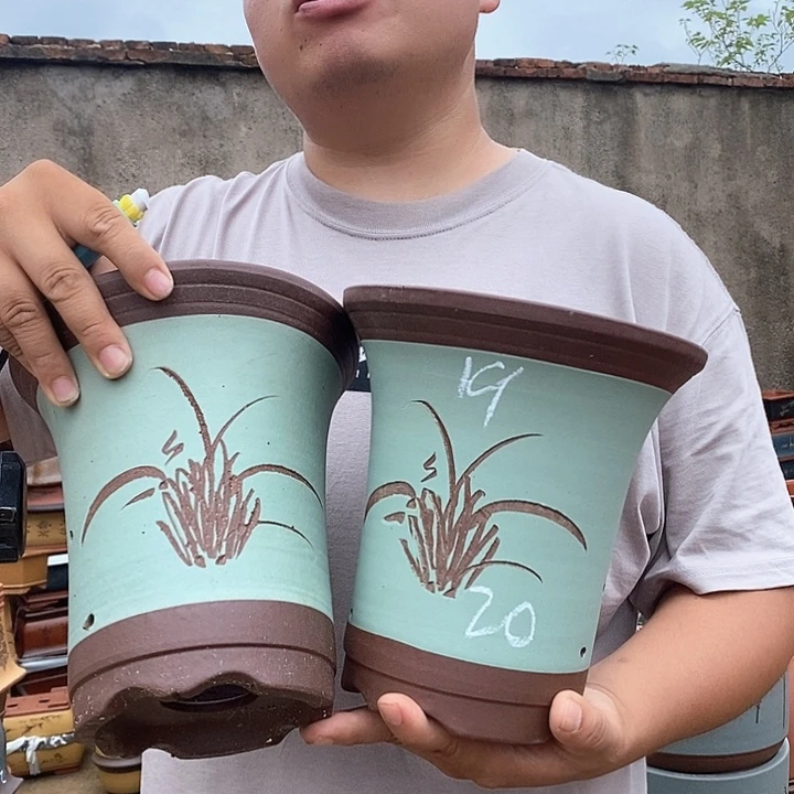 紫砂花盆盆栽观赏植物花卉