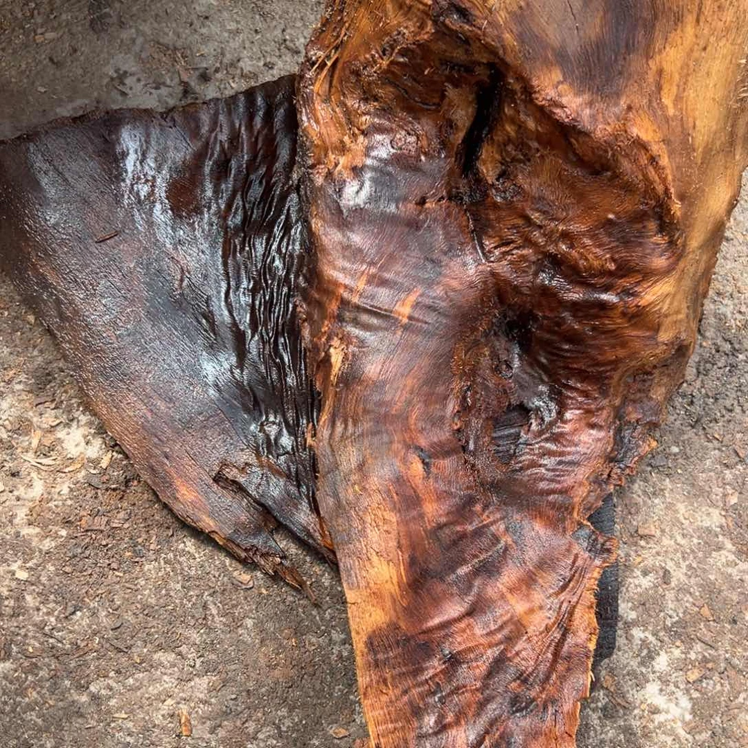 金丝楠盼222222222222