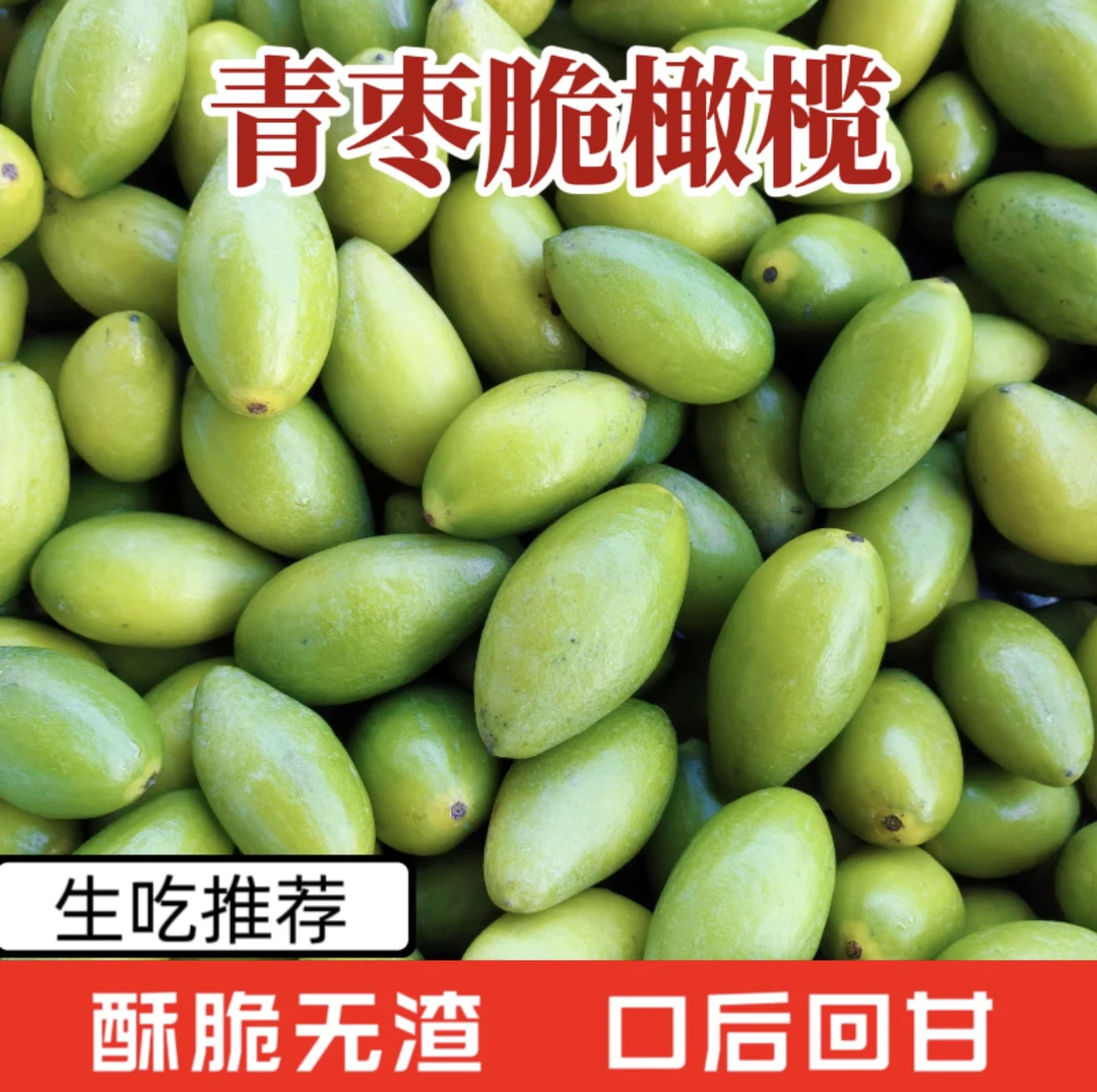 新鲜青枣脆橄榄生吃橄榄1-5斤装水果包邮