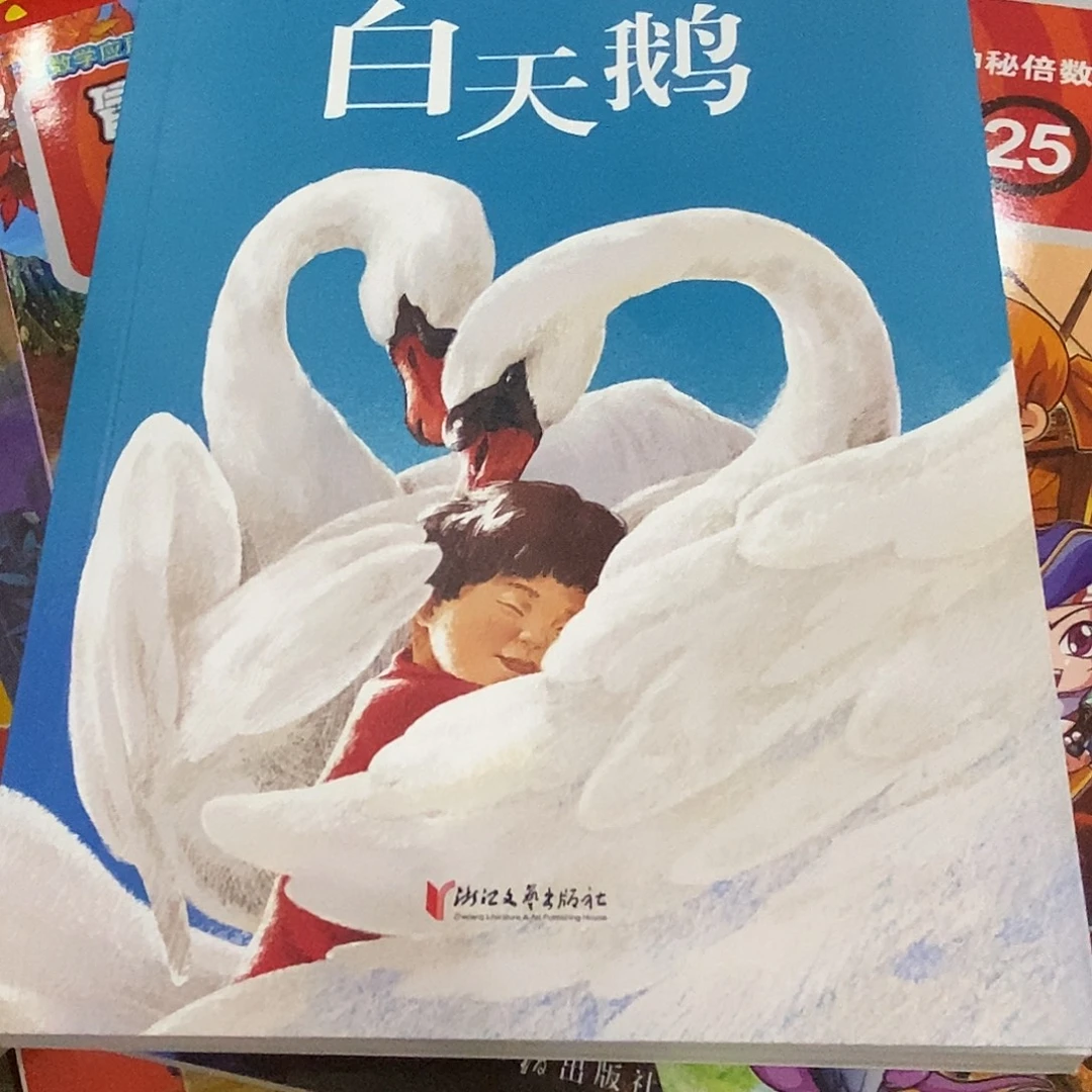 白天鹅