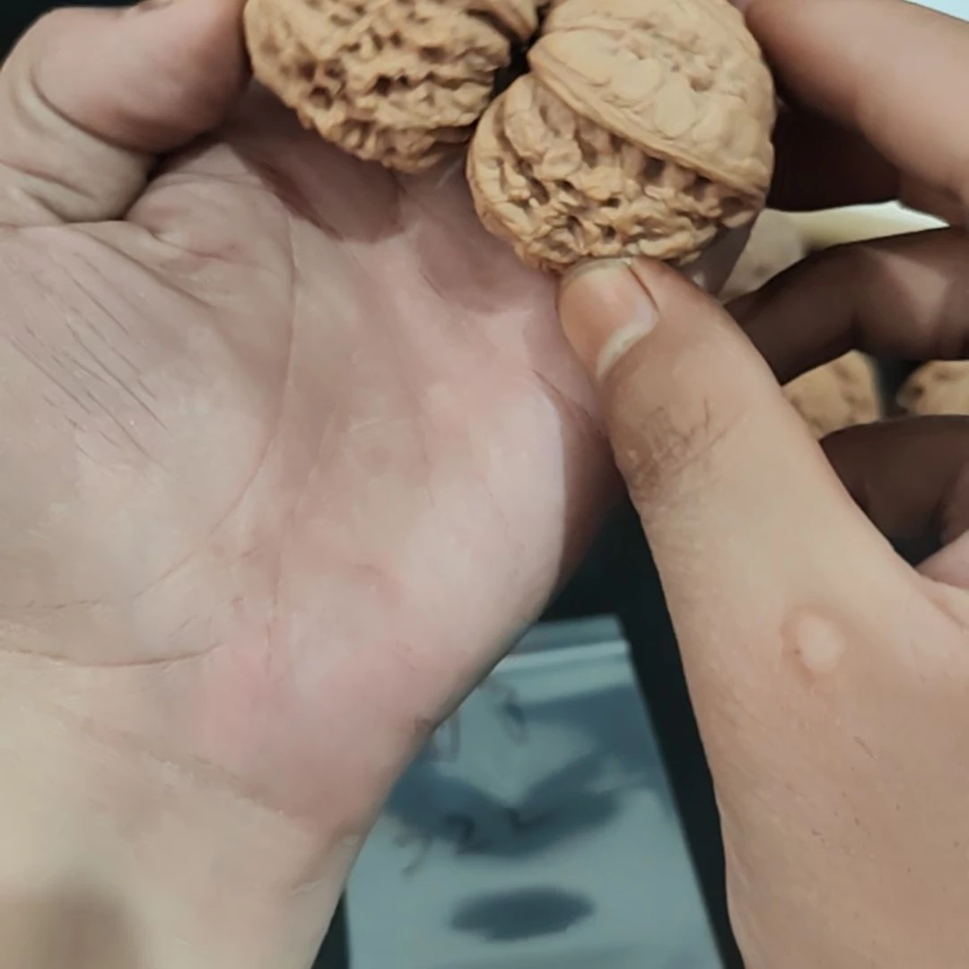 困****文玩核桃把件全品龙鼎，龟背，