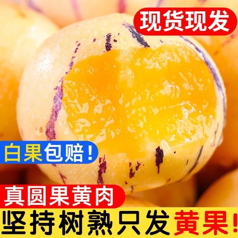 黄肉花皮人参果云南石林树上熟果圆果黄肉清甜多汁应季新鲜水果