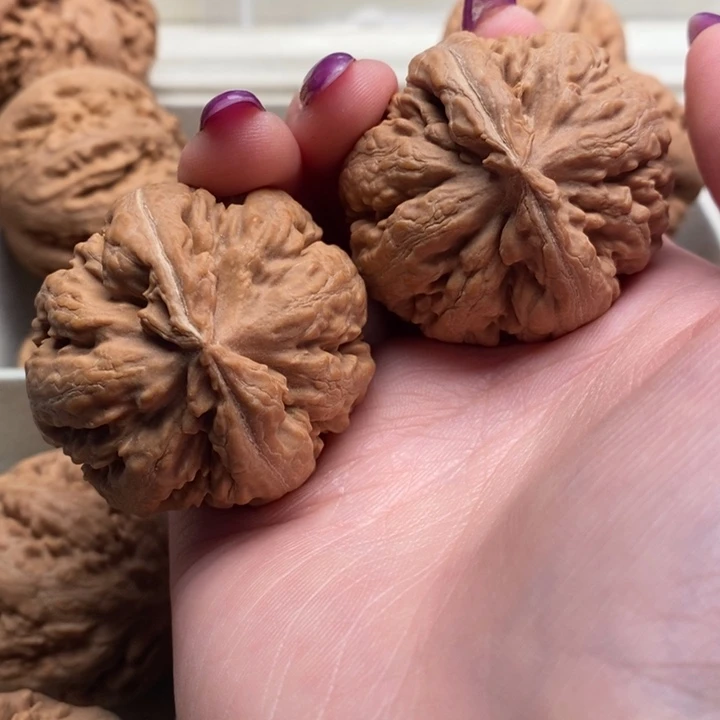 小***正手串文玩核桃霸王龙