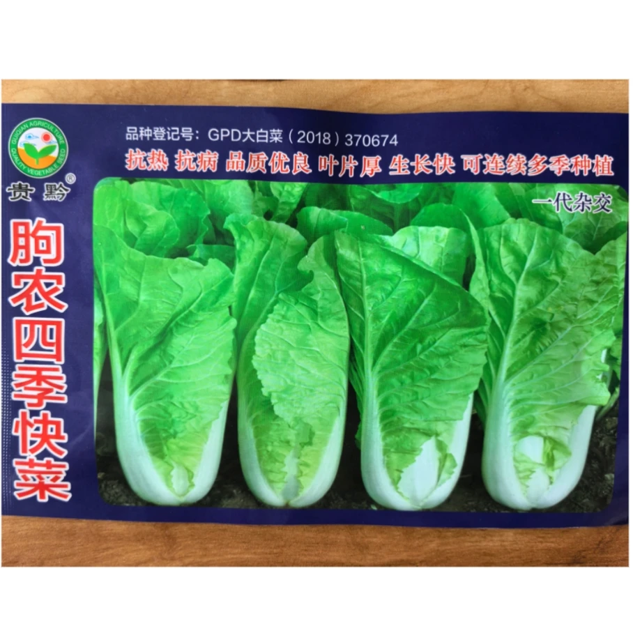 夏秋播早熟快菜种苗菜用耐湿热外叶黄绿无刺毛内叶浅黄色蔬菜种子