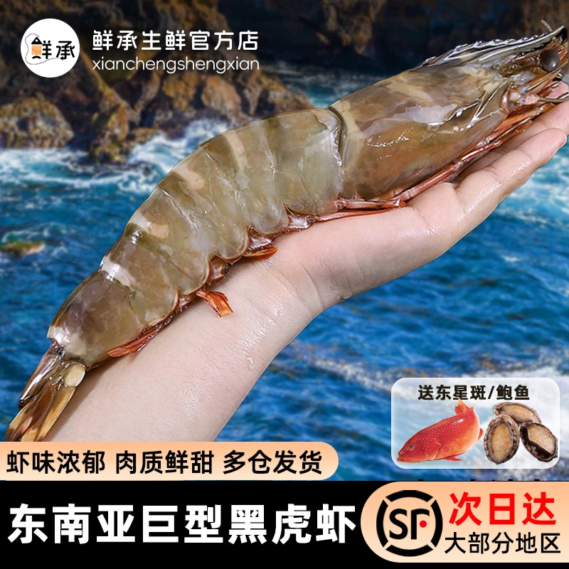 鲜承 东南亚进口【超大号黑虎虾】老虎虾 多规格选择 礼盒装家庭装