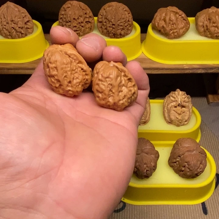 核桃33蛤蟆头一帆风顺。