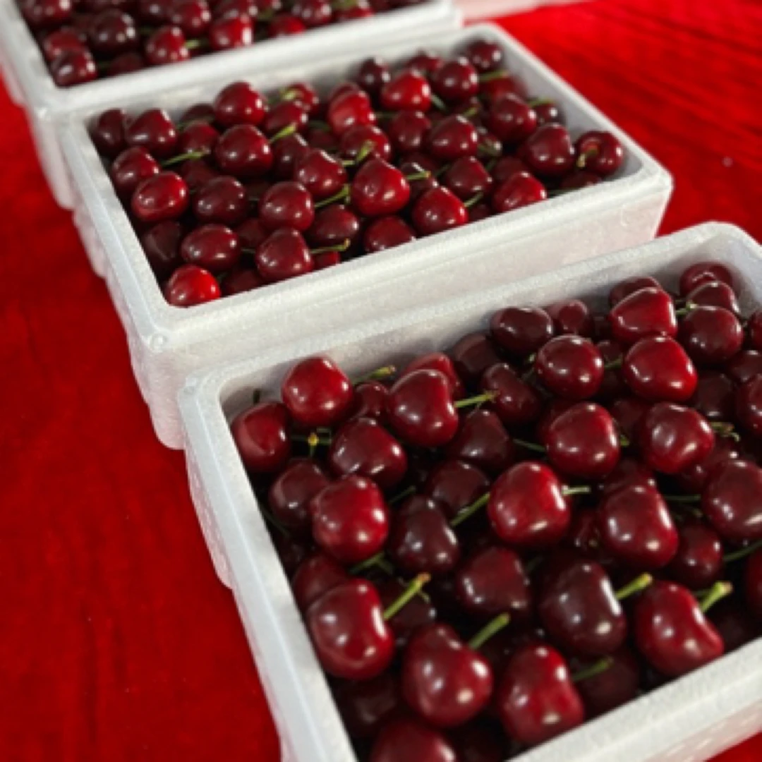 芒大果美早大棚3斤精品新鲜芒果