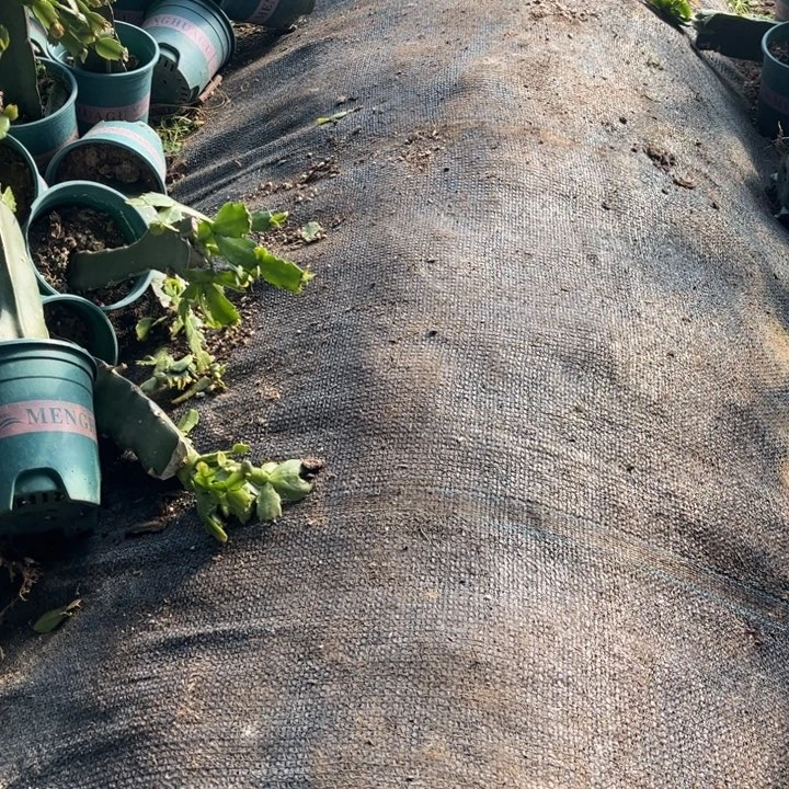 保温棉000000000000000