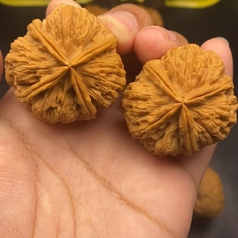 文玩核桃把件39尺云南核桃