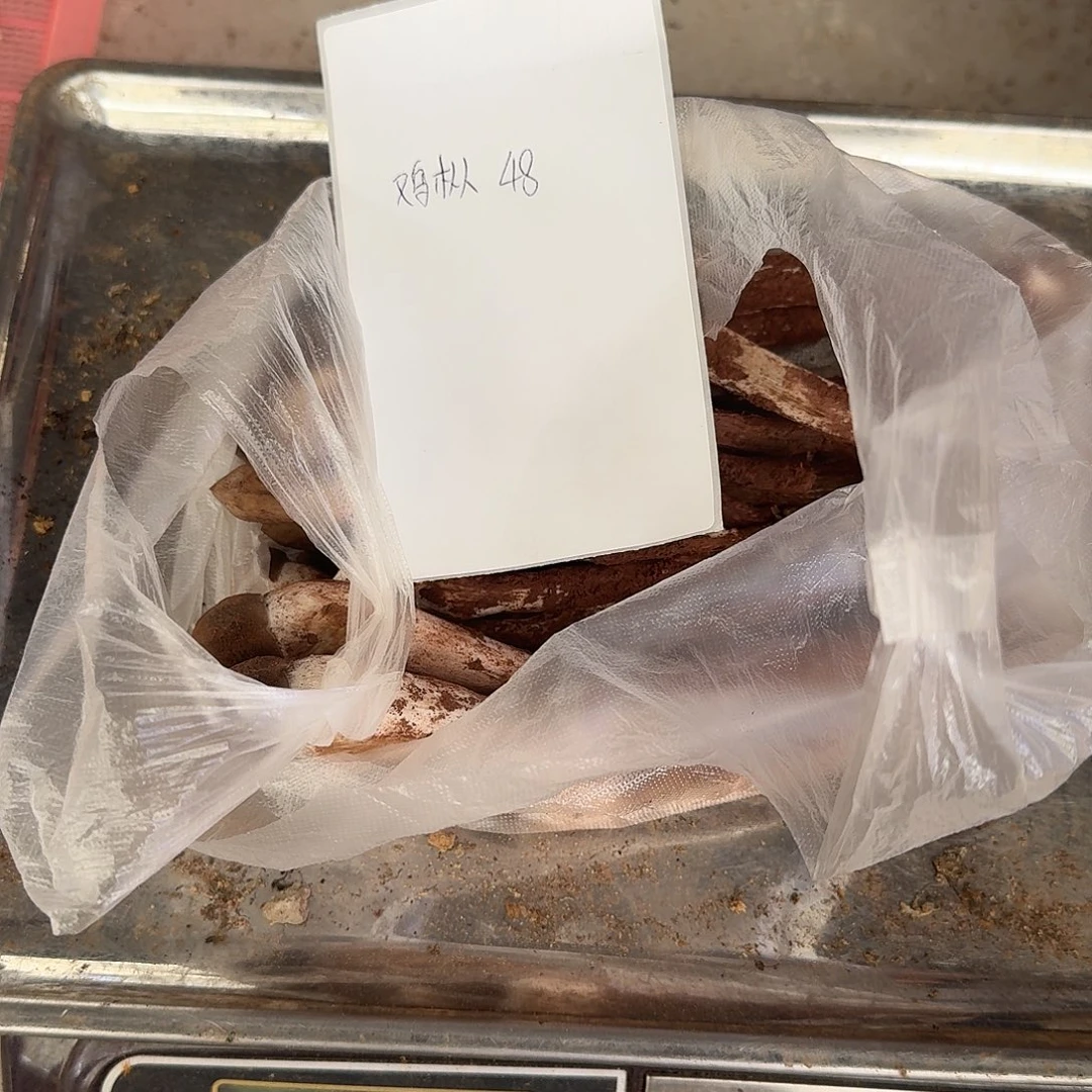 一***奇青头菌中国大陆菌子