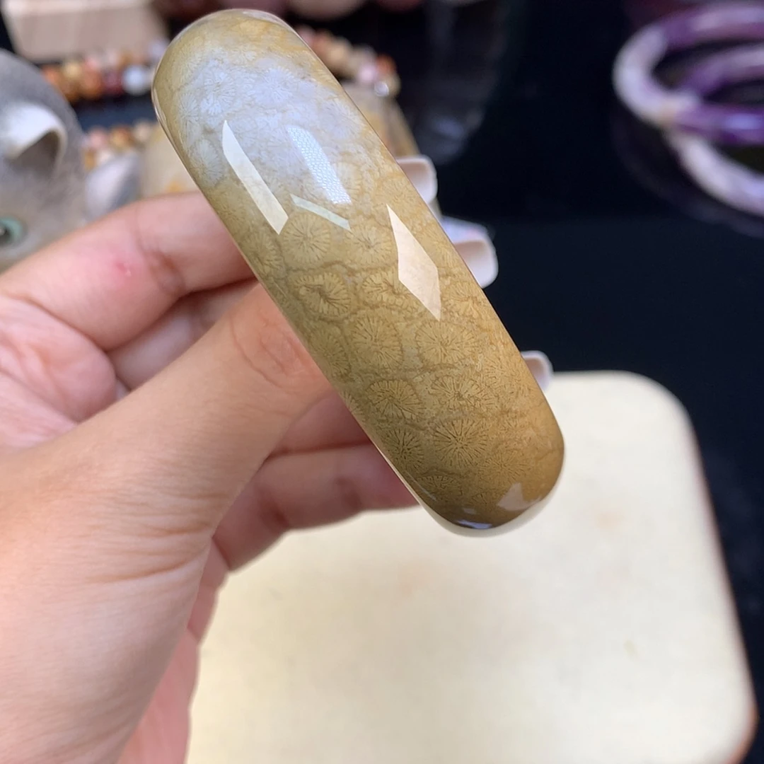 【闪购商品】颈饰未镶嵌硅化珊瑚（珊瑚玉）63号54口