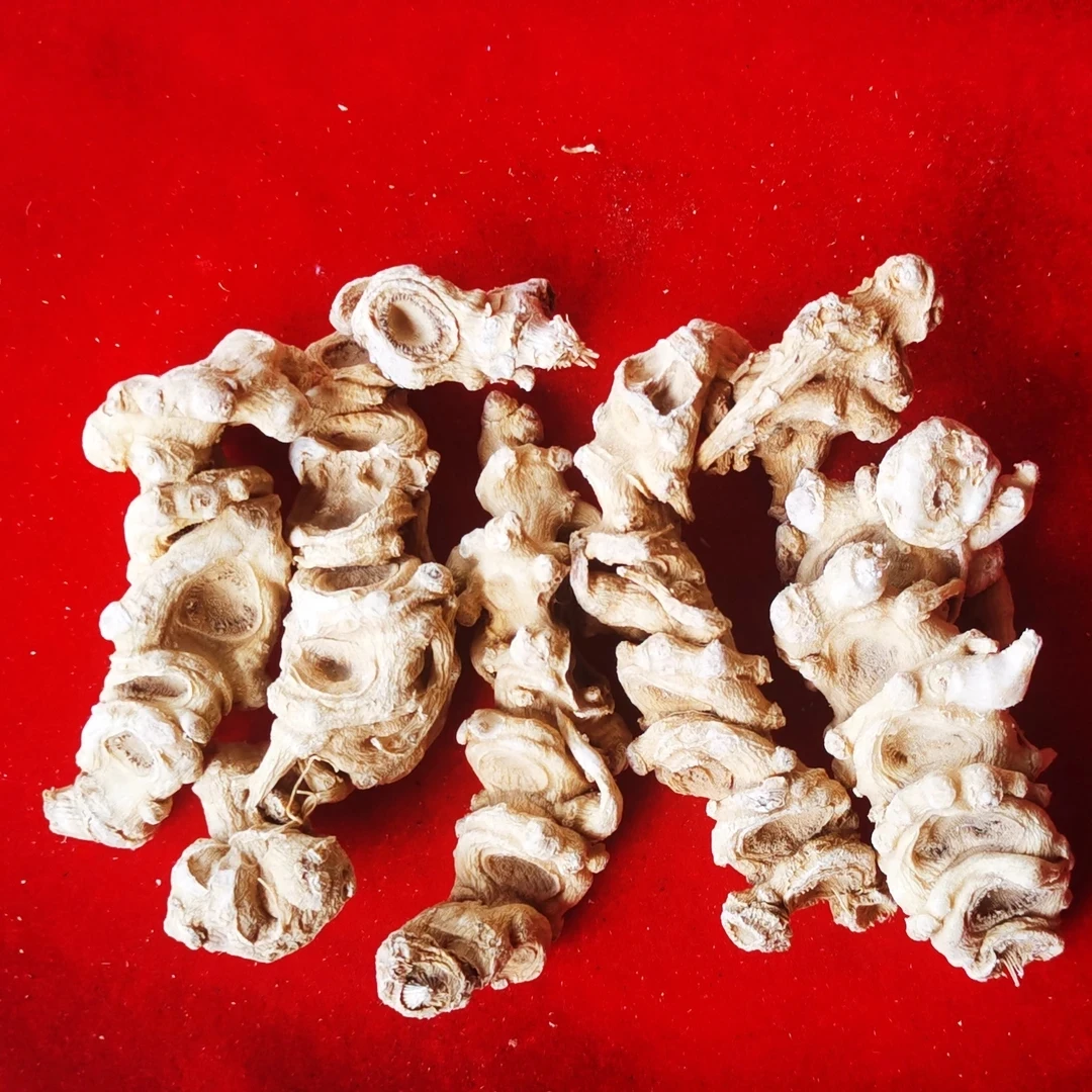 【藏地拉姆】天-王-参3 下单多赠元气粉