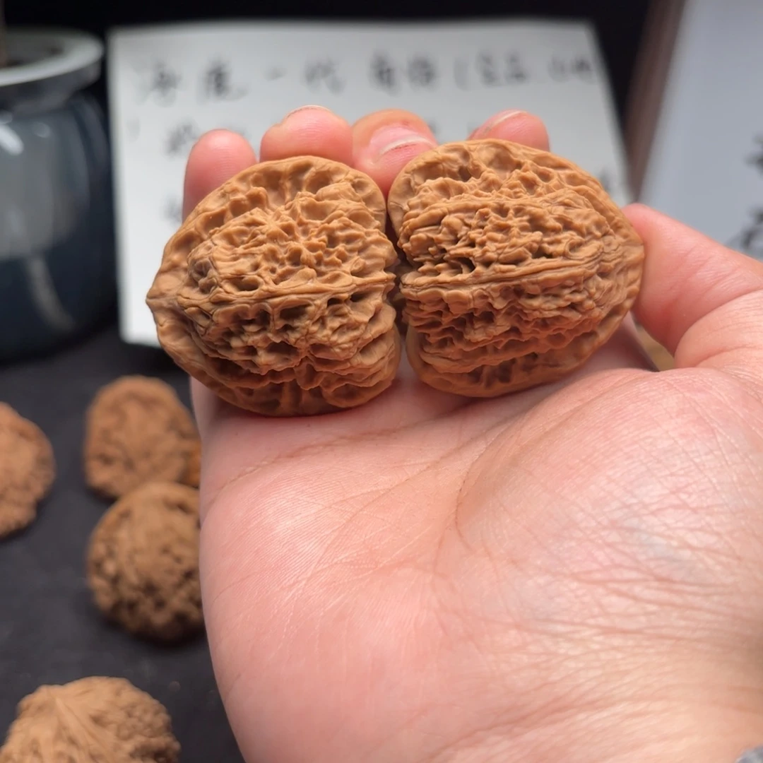 不***侯核桃涿鹿南疆一代