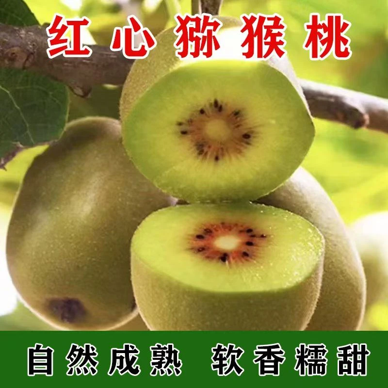 果园直发红心猕猴桃新鲜应季孕妇水果香甜多汁