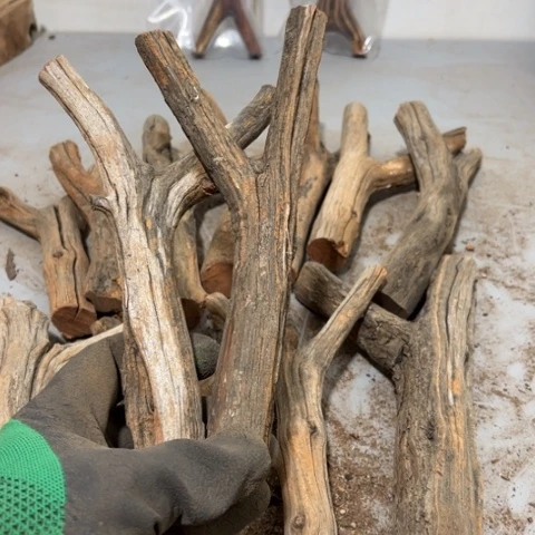 大果紫檀（缅甸花梨）老*鱼