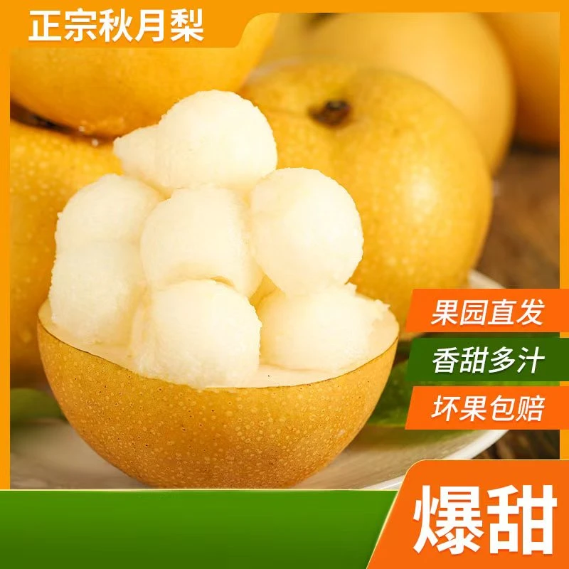 巫山脆梨  秋月梨  顺丰快递包邮  特大果