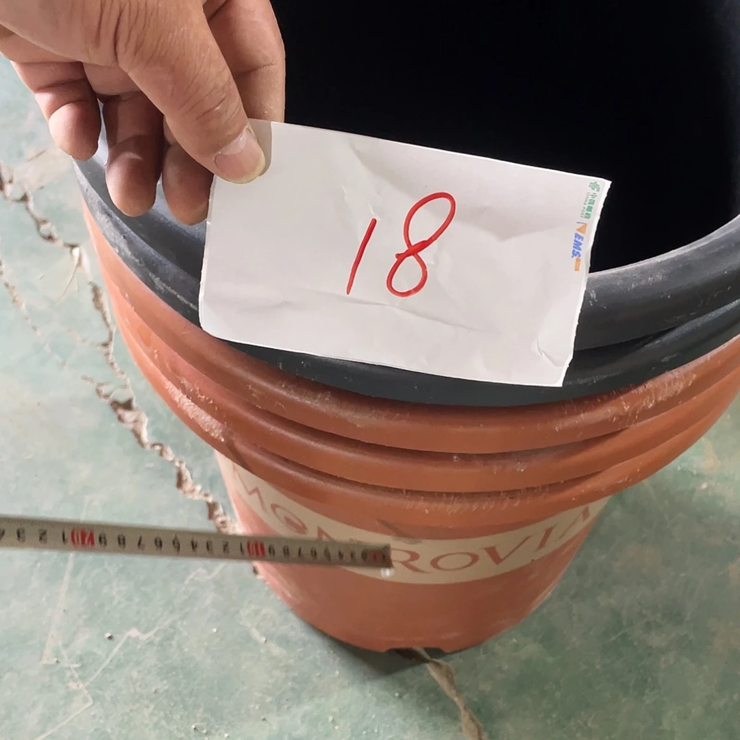 编号18编号18编号18编号