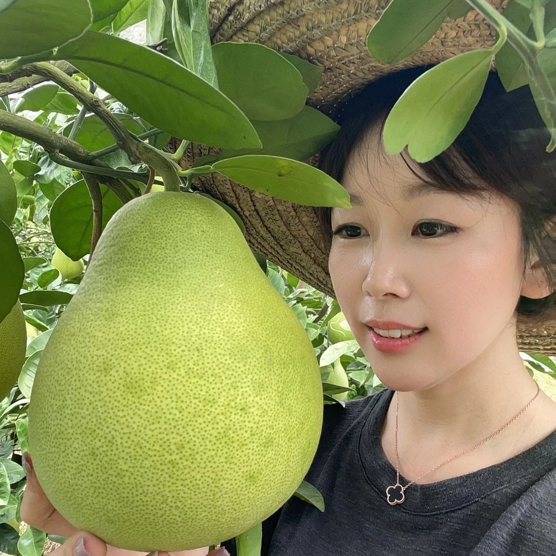 【60斤】【燕子归乡】正宗江西特产安福金兰柚 30年老树 清甜不酸