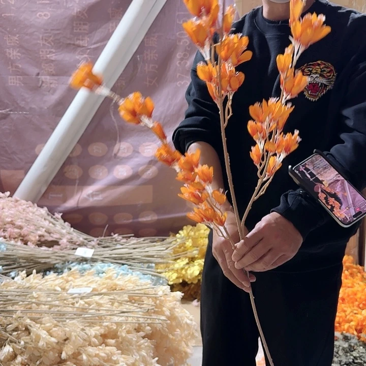 丁香花橙色10支装