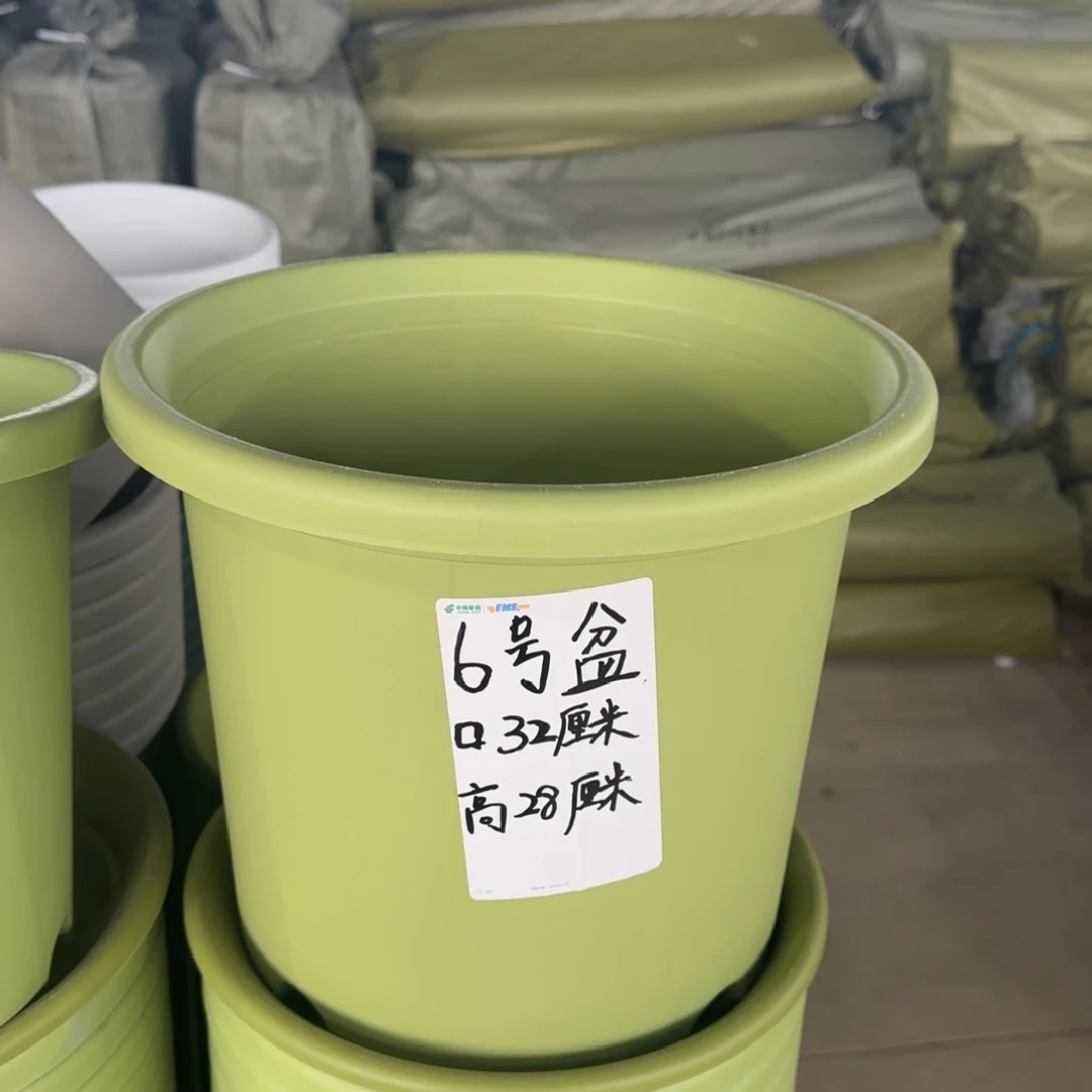 塑料四季6号果绿2个带拖