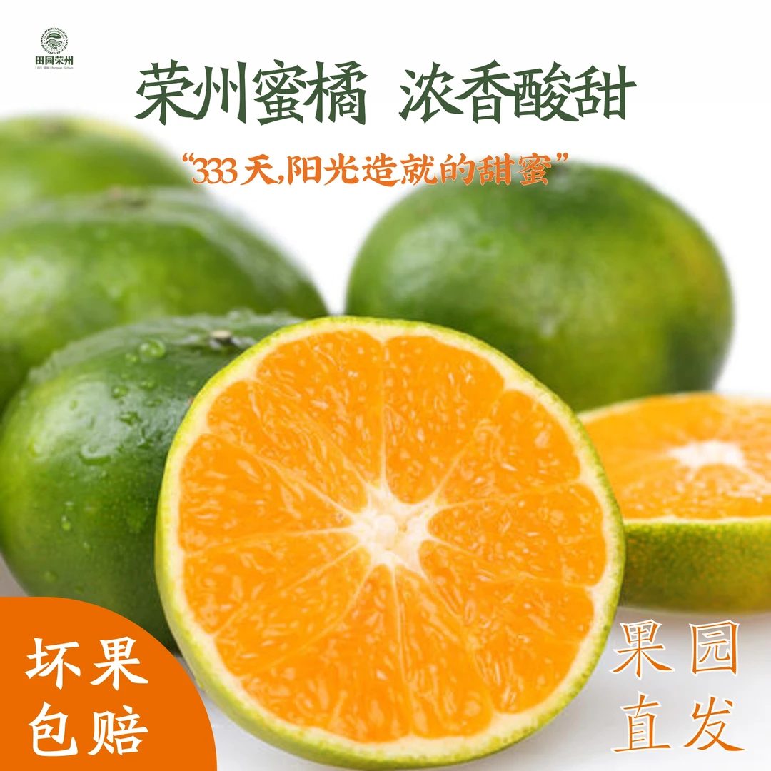 【燕子专属】四川荣县青皮蜜桔 无籽蜜橘 孕妇水果 新鲜直发酸甜口
