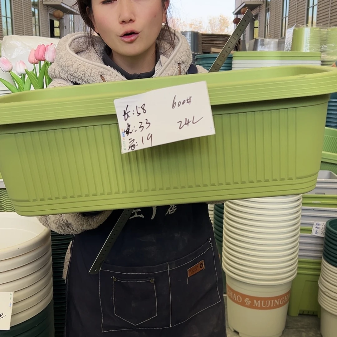 菜盆600#果绿3个无托