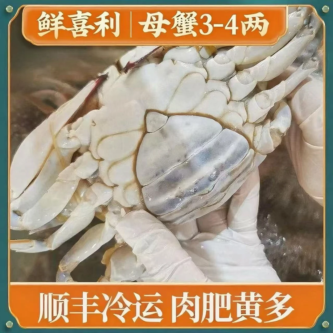 N 舟山母蟹梭子蟹4两左右/只（8只3斤左右，含赠品）不可清蒸【冻蟹】