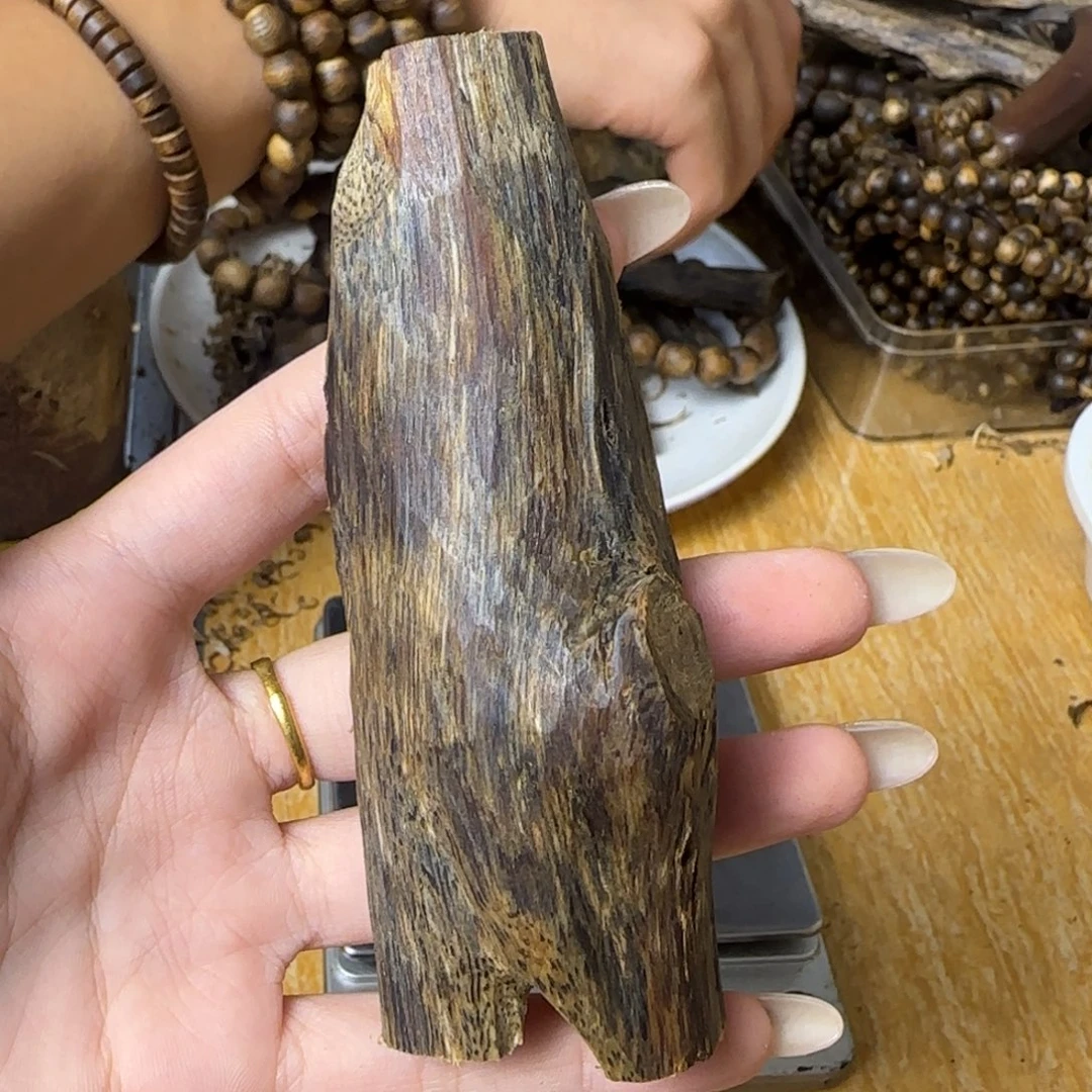 沉香碎屑沉香海南张勺子树心虫漏31g