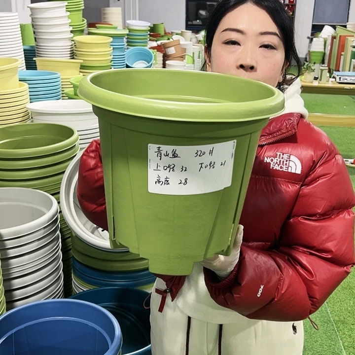 清仓青山口32高28果绿5只无托