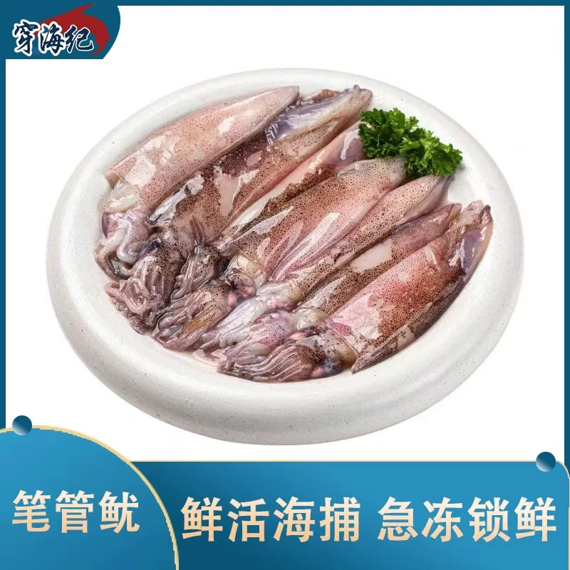 《穿海纪》新鲜笔管鱼水产顺丰包邮水煮火锅