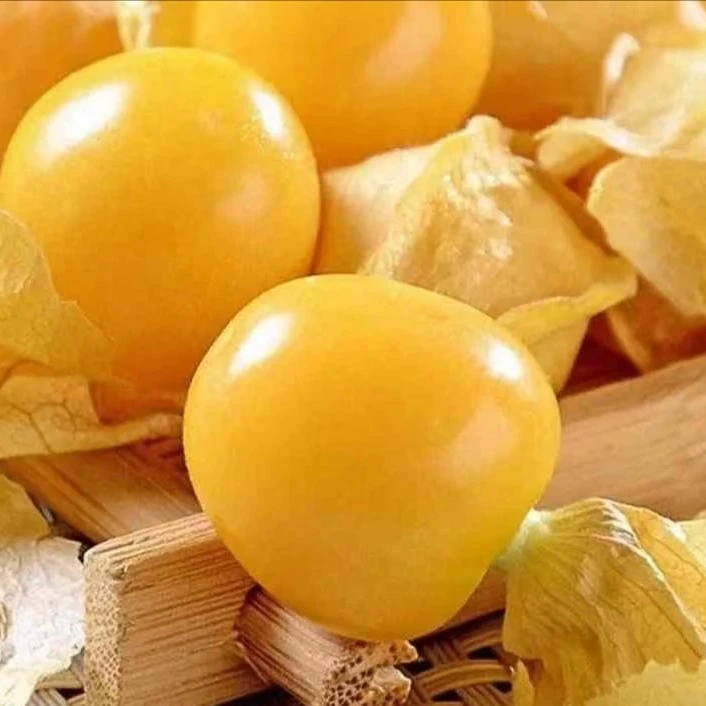 正宗云南菇娘果特产水果；新鲜当季大灯笼果，黄姑娘果大果甜菇凉，500g