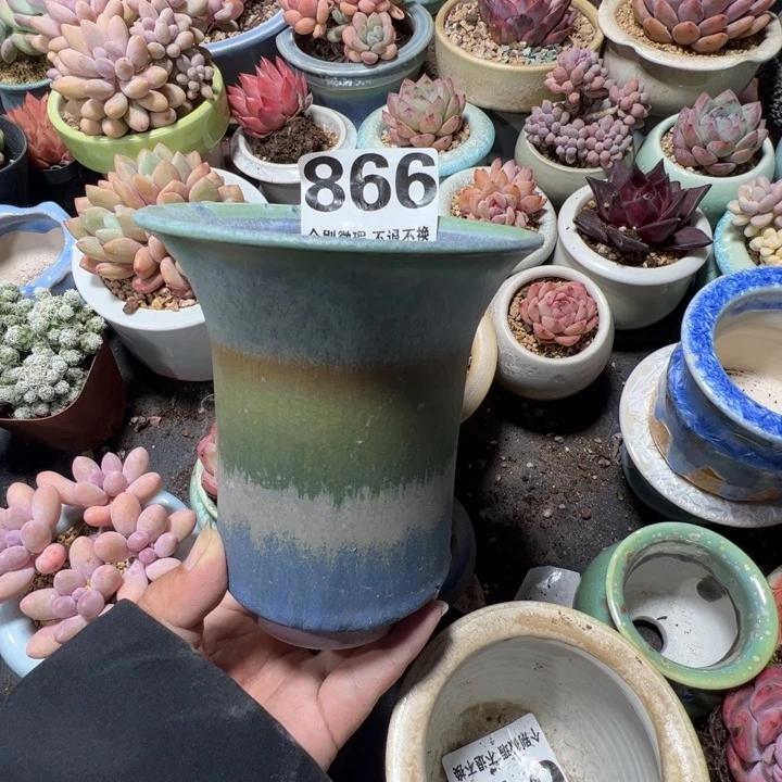 特价花盆满50发货 内口10