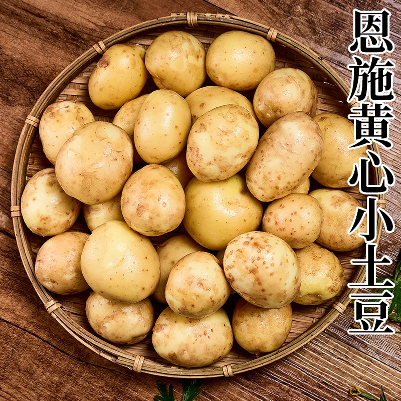 正宗恩施小土豆高山土豆黄心洋芋农家自种清香马铃薯包邮蔬菜