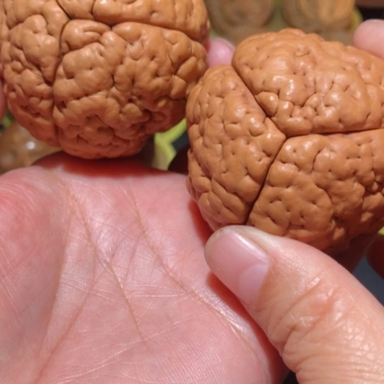 文玩核桃把件传*脑纹金刚菩提