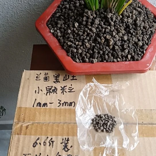 洛***枫兰菌黑山土小颗粒6.6斤