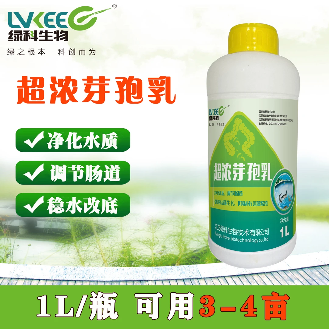 绿科生物超浓芽孢乳稳水改底超浓缩强净水分解有害藻类有机质产品
