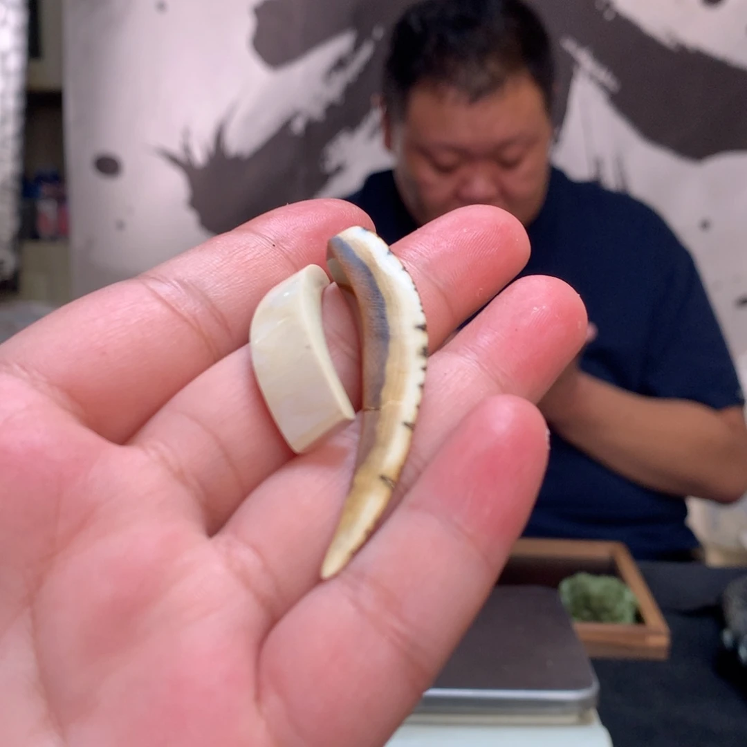 橄榄核手串/手链ZZ7