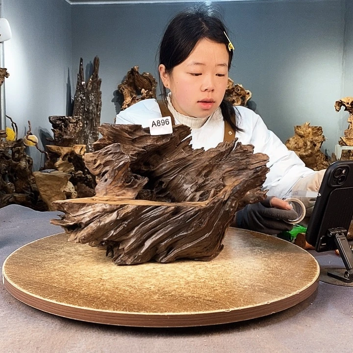 茶盏青***皮896株木的随行的根艺