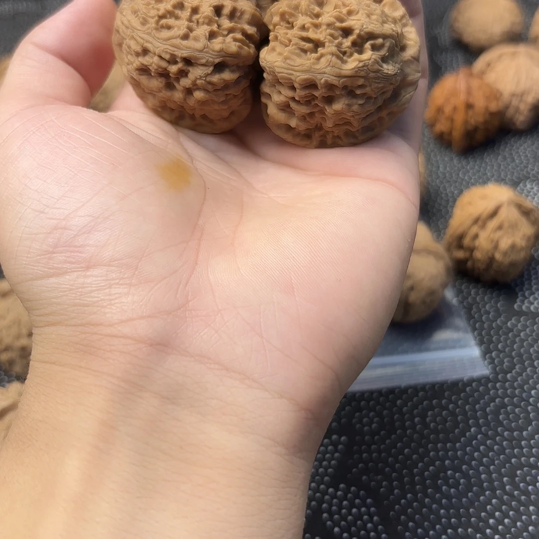 大叶紫檀（黑酸枝木类）