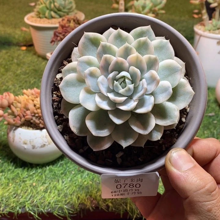 蕴***萩0780啊啊啊啊啊啊啊啊啊啊