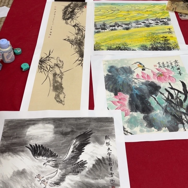 6***7国画花鸟等多种鸟类